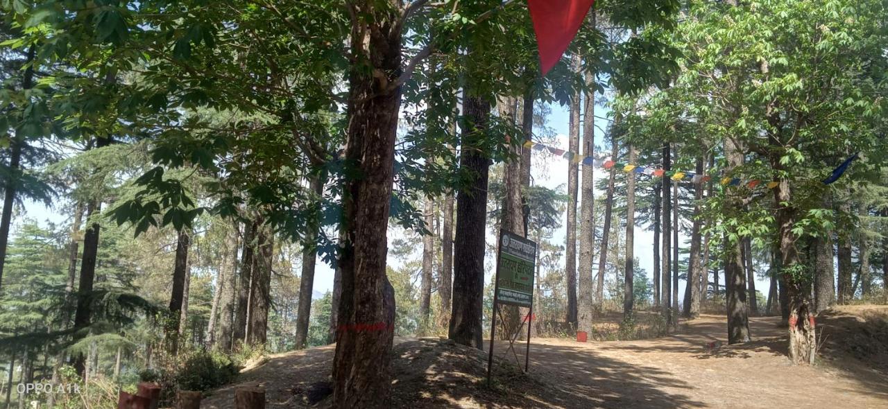 Evergreen Home Stay Almora Exterior photo