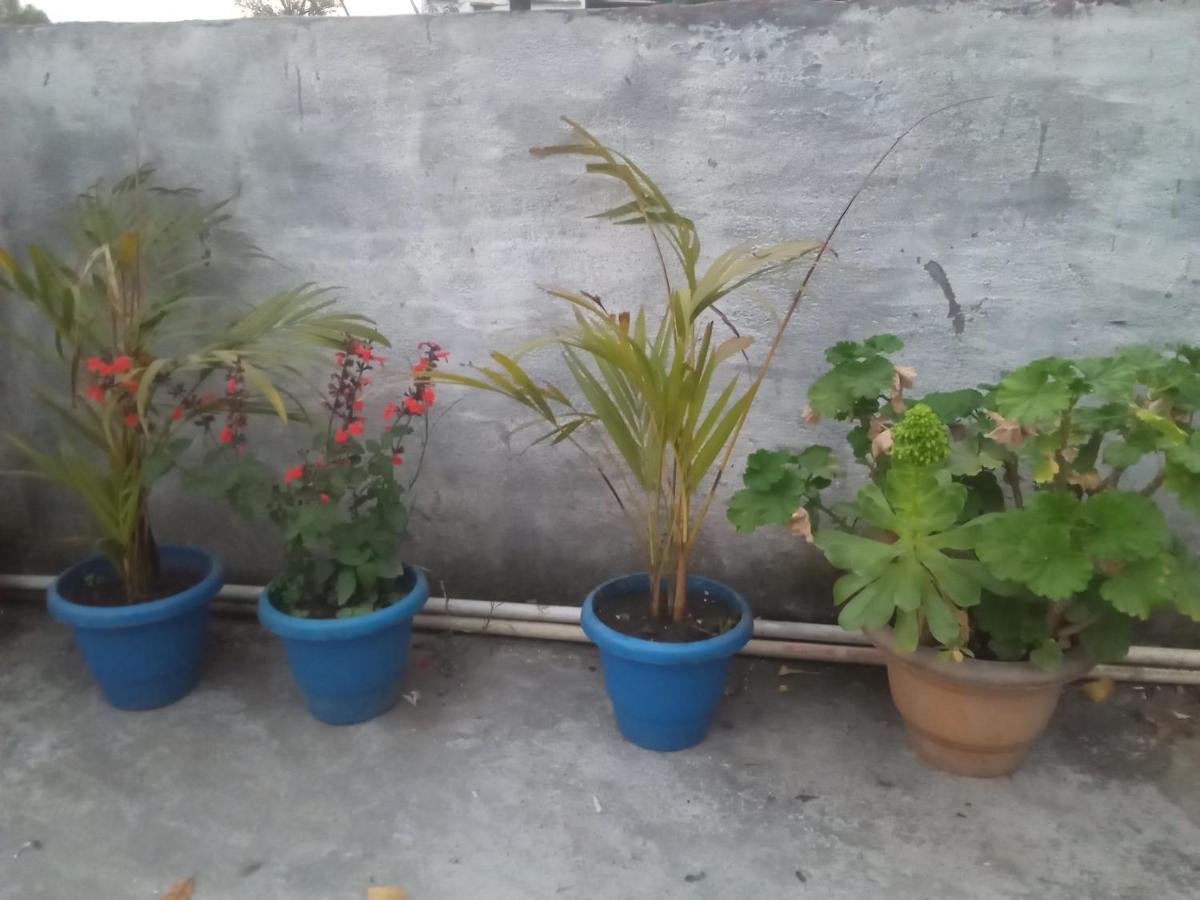Evergreen Home Stay Almora Exterior photo